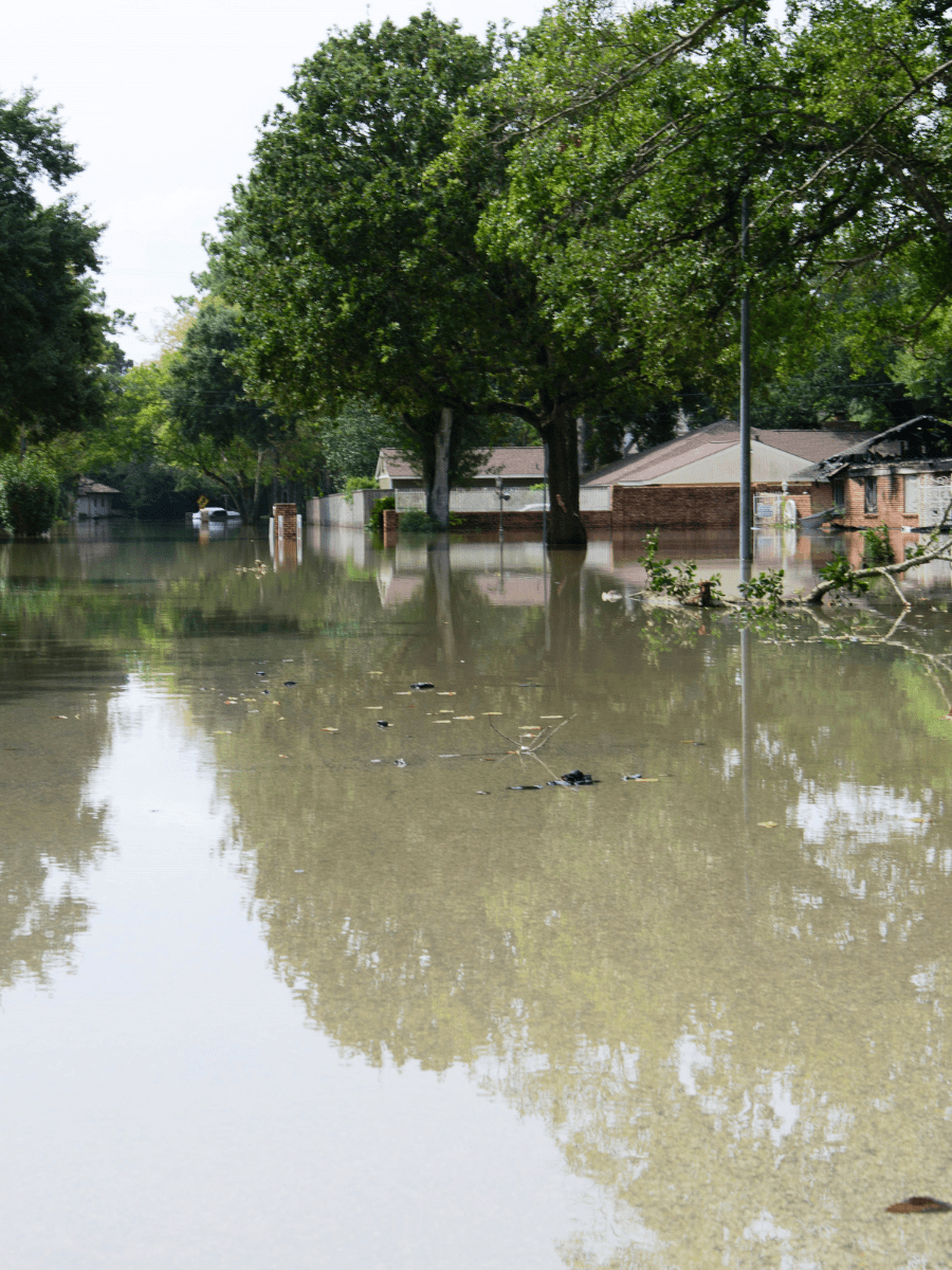 We're here to safeguard your peace of mind. Count on our swift response and expert team to restore your home or business after any disaster. Trust us to bring light back into your life when you need it the most.