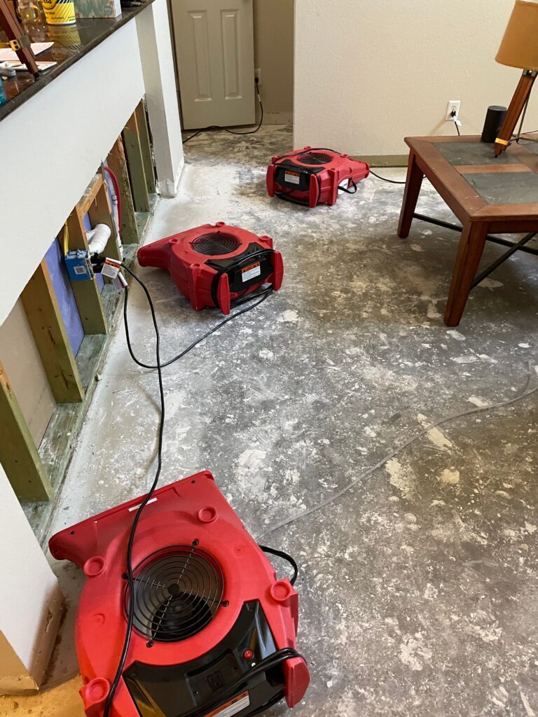 How to Tell if Your House or Business Has Mold - Beacon Restoration
