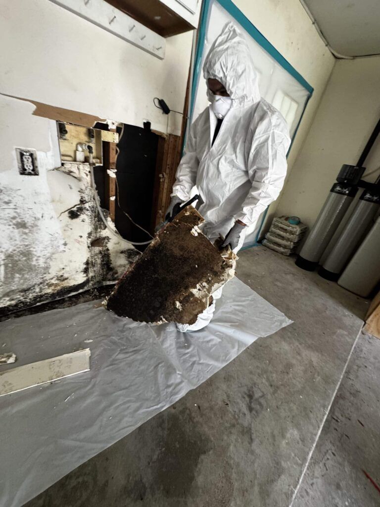 Mold Remediation Expert - Beacon Restoration