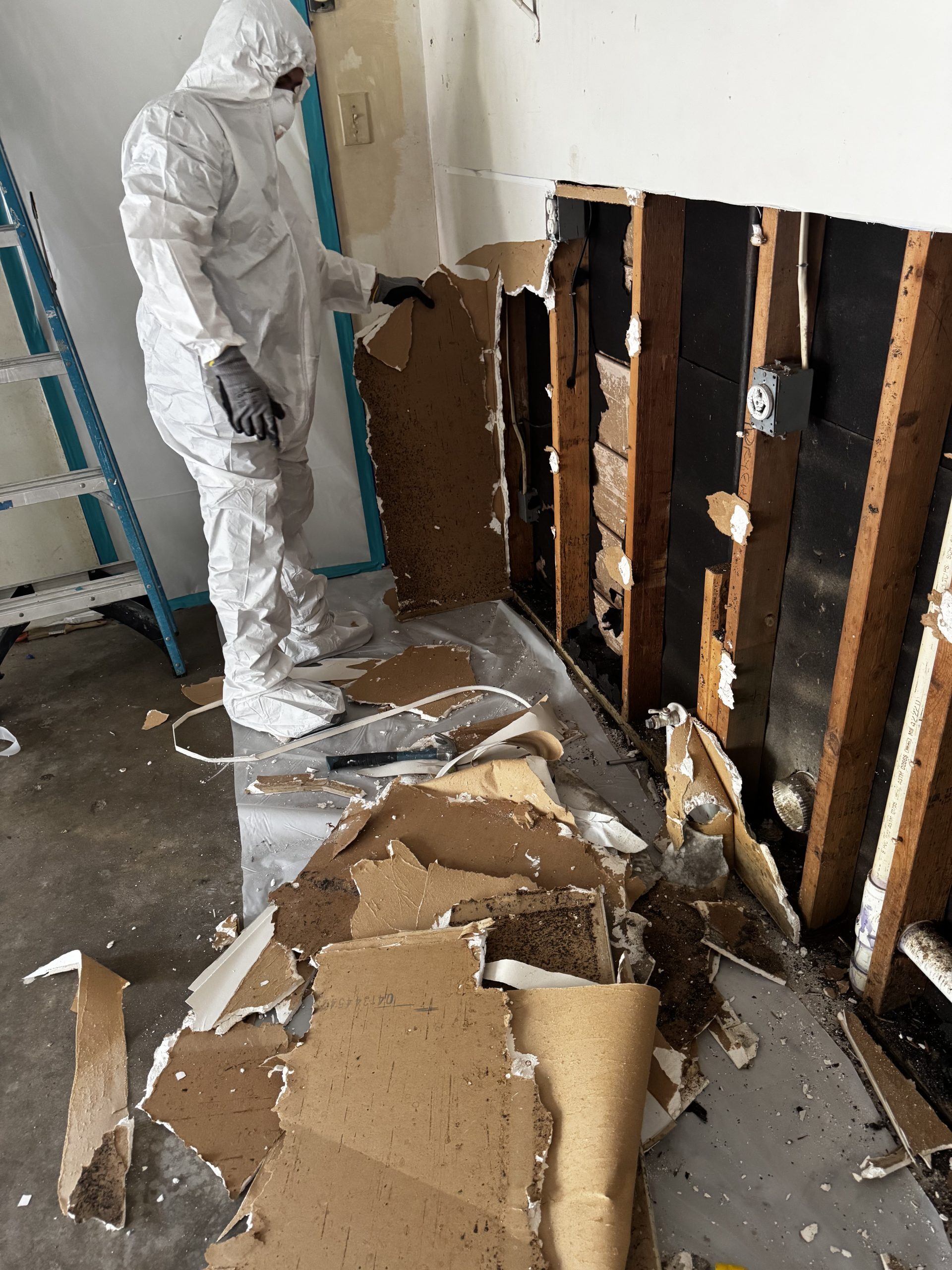 Mold removal in progress by Beacon Restoration Services team, with drywall being removed and debris on the floor