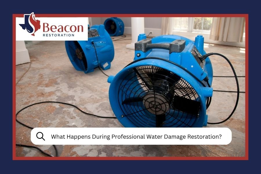 What Happens During Professional Water Damage Restoration_ (Step-by-Step)