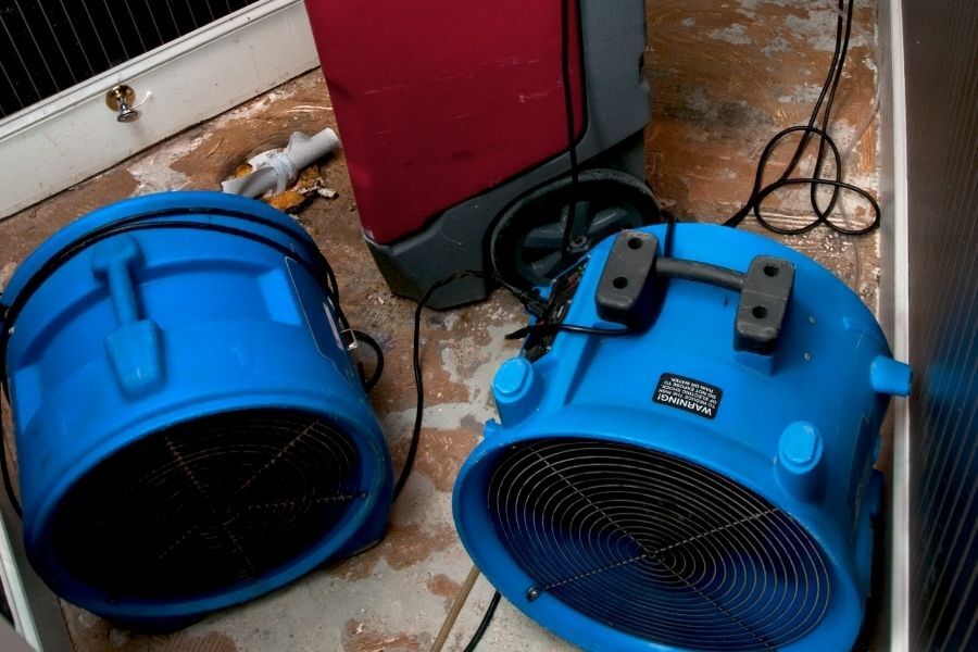 sewage cleanup