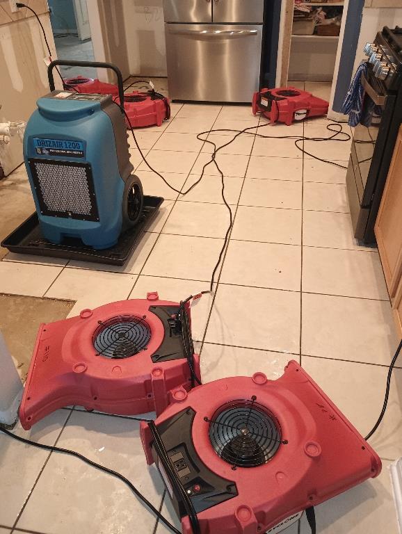 How to Dry Out Water Damage: A Step-by-Step Guide