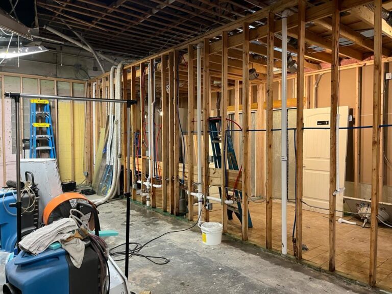 Mold Removal Service - Beacon Restoration Service